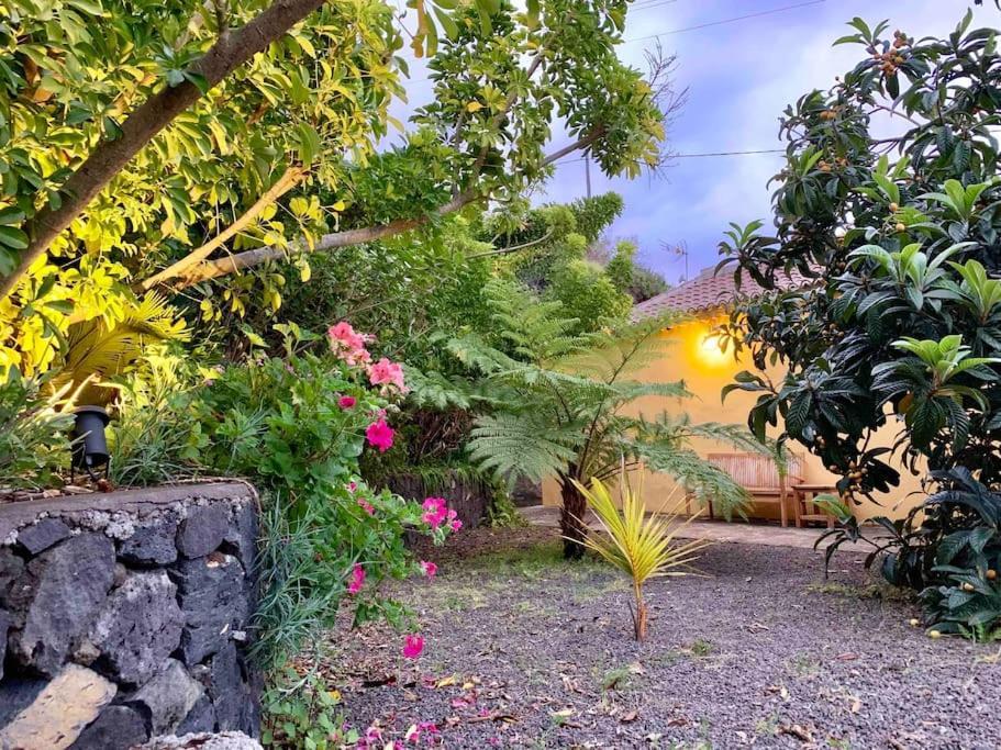 Vila Rustic House La Montana Breña Baja Exteriér fotografie