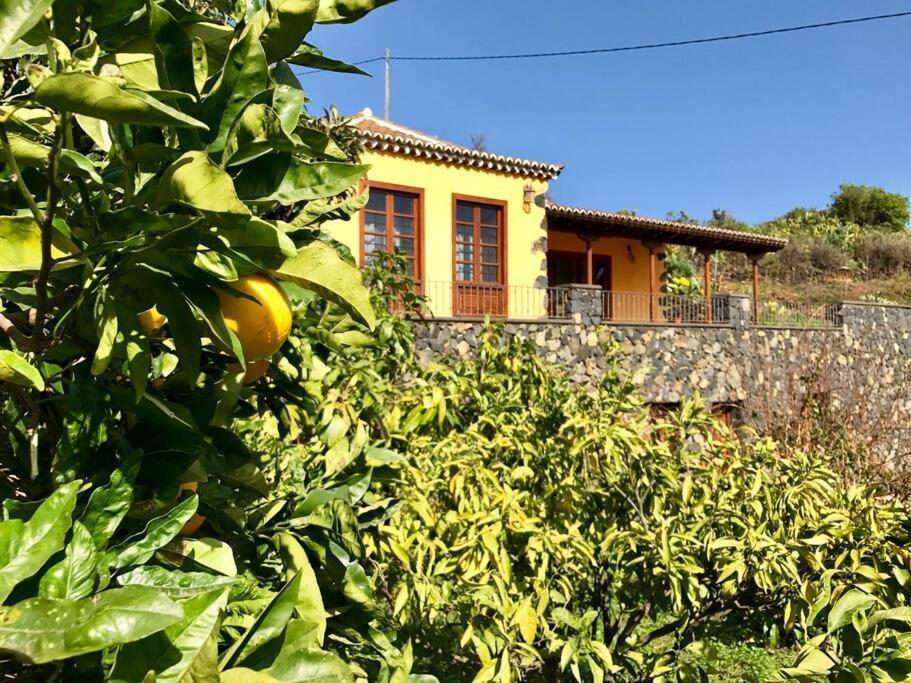 Vila Rustic House La Montana Breña Baja Exteriér fotografie